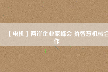 【電機】兩岸企業家峰會 拚智慧機械合作
          