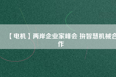 【電機】兩岸企業家峰會 拚智慧機械合作
          