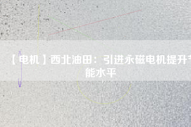 【電機】西北油田：引進永磁電機提升節能水平
          