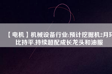 【電機】機械設備行業:預計挖掘機2月環比持平,持續超配成長龍頭和油服
          