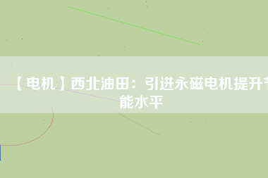 【電機】西北油田：引進永磁電機提升節能水平
          