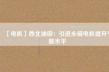 【電機】西北油田：引進永磁電機提升節能水平
          