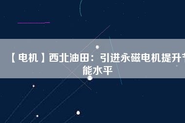 【電機】西北油田：引進永磁電機提升節能水平
          