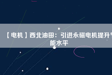 【電機】西北油田：引進永磁電機提升節能水平
          