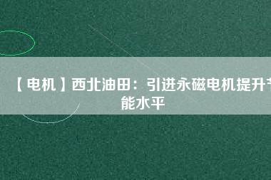 【電機】西北油田：引進永磁電機提升節能水平
          