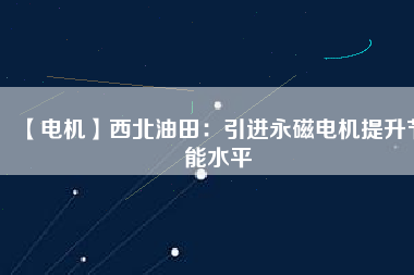 【電機】西北油田：引進永磁電機提升節能水平
          