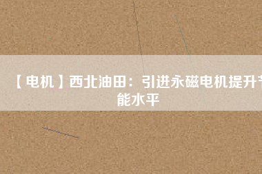 【電機】西北油田：引進永磁電機提升節能水平
          