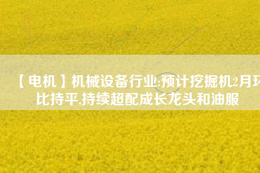 【電機】機械設備行業:預計挖掘機2月環比持平,持續超配成長龍頭和油服
          