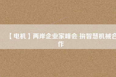 【電機】兩岸企業家峰會 拚智慧機械合作
          