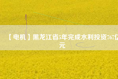 【電機(jī)】黑龍江省5年完成水利投資767億元
          